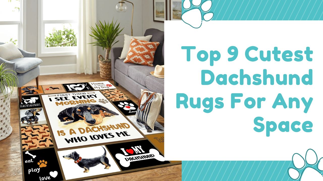 top 9 cutest dachshund rugs for any space