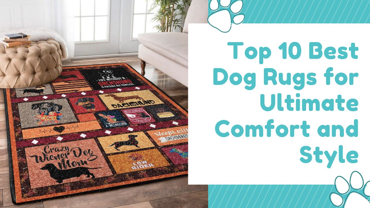 Top 10 Best Dog Rugs for Ultimate Comfort and Style