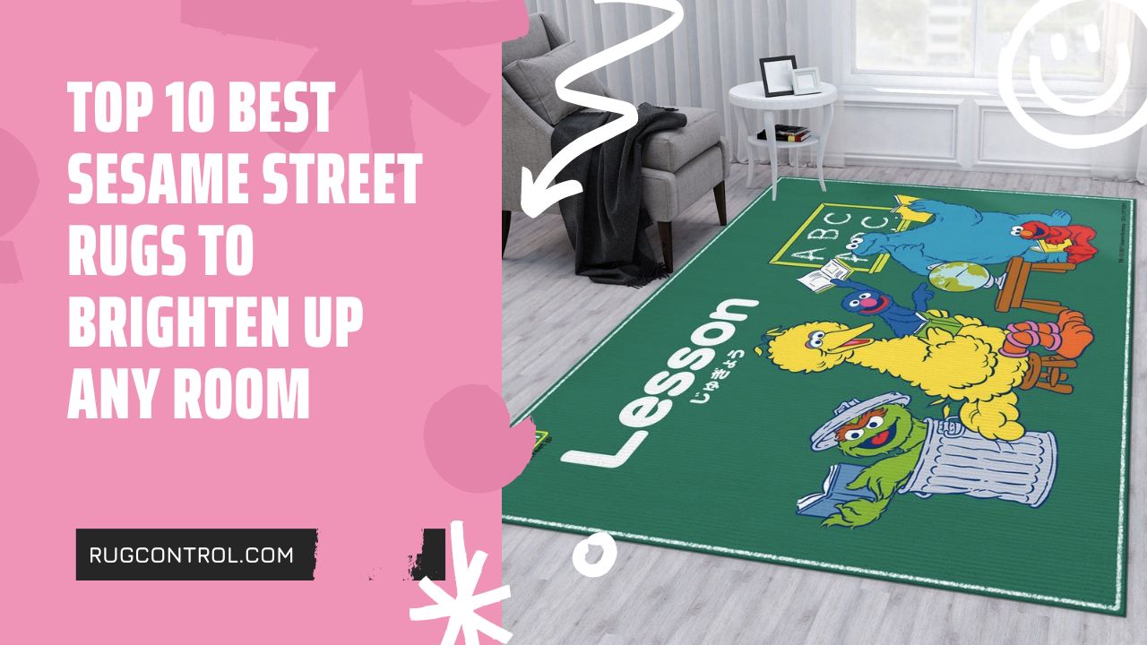 Top 10 Best Sesame Street Rugs to Brighten Up Any Room