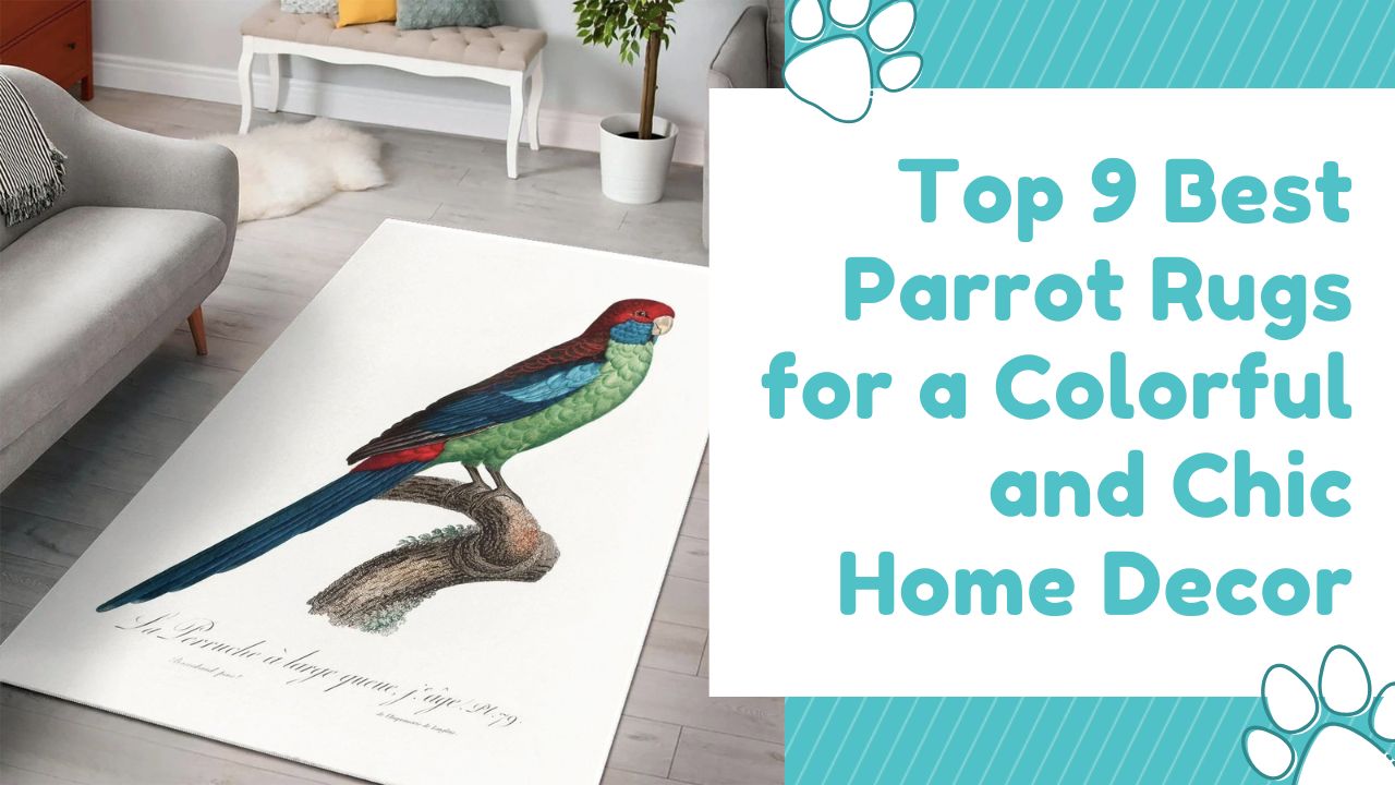 Top 9 Best Parrot Rugs for a Colorful and Chic Home Decor
