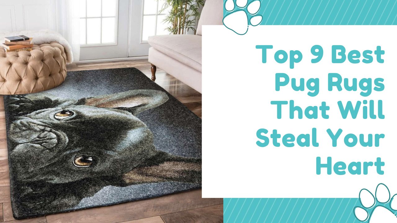 Top 9 Best Pug Rugs That Will Steal Your Heart