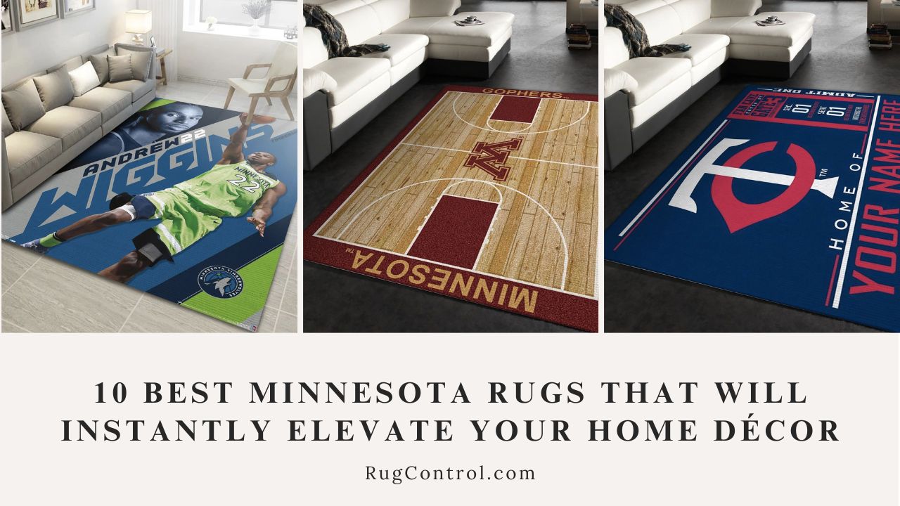 10 Best Minnesota Rugs That Will Instantly Elevate Your Home Décor