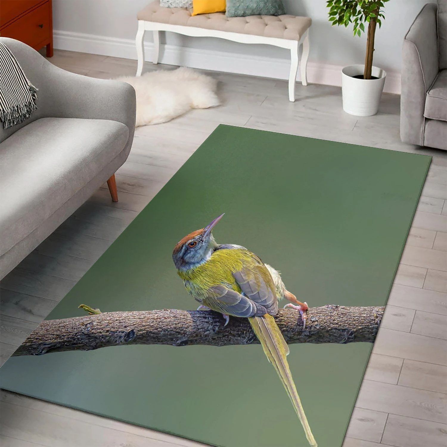 Birds Orthotomus Sutor  Living Room Area Rug