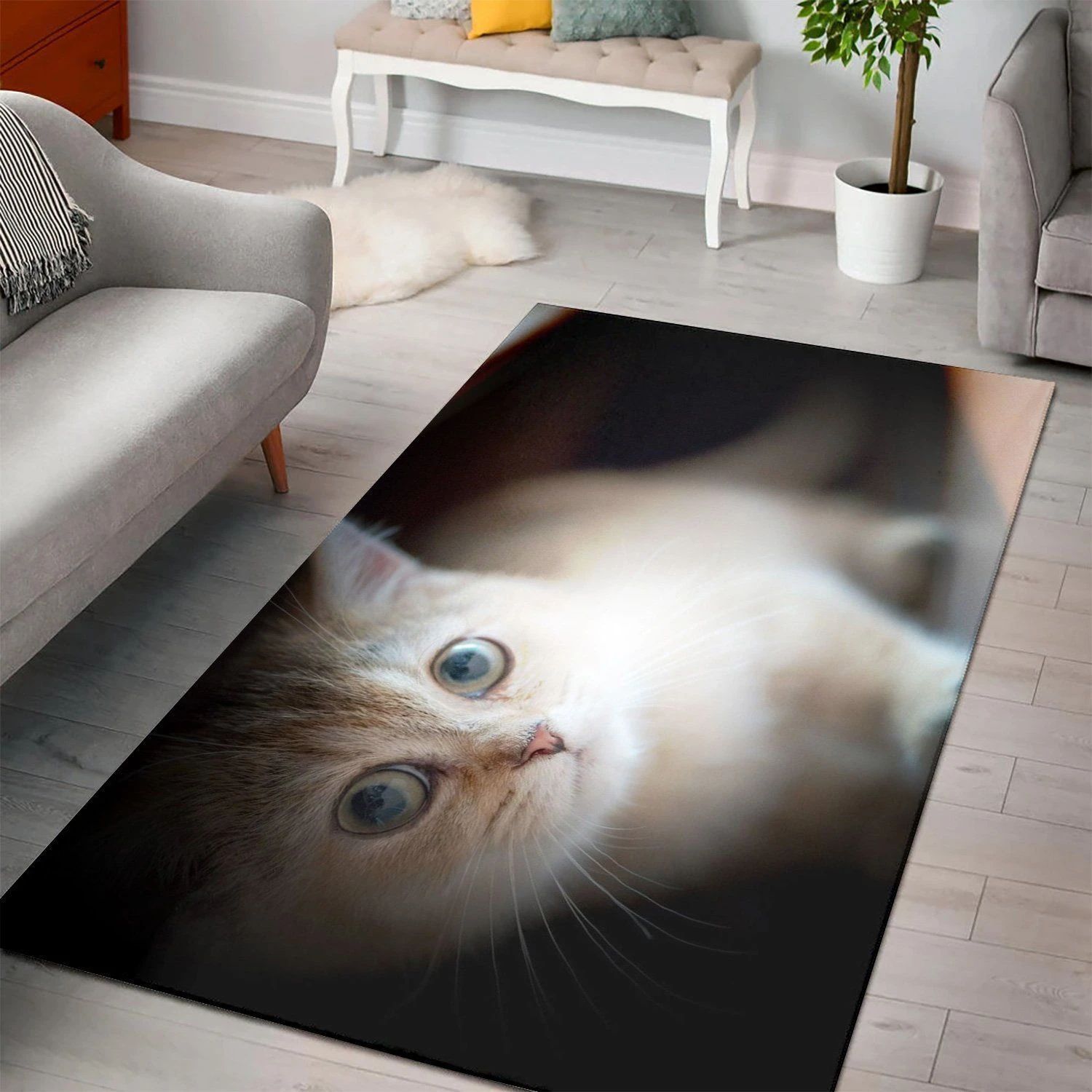 British Shorthair Closeup  Living Room Area Rug