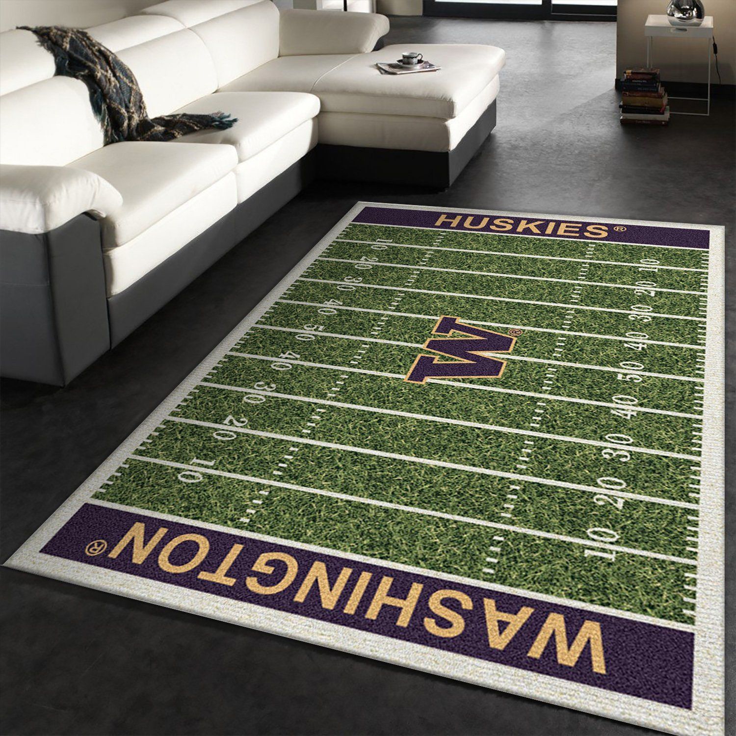 College NFL Team Logo Area Rug