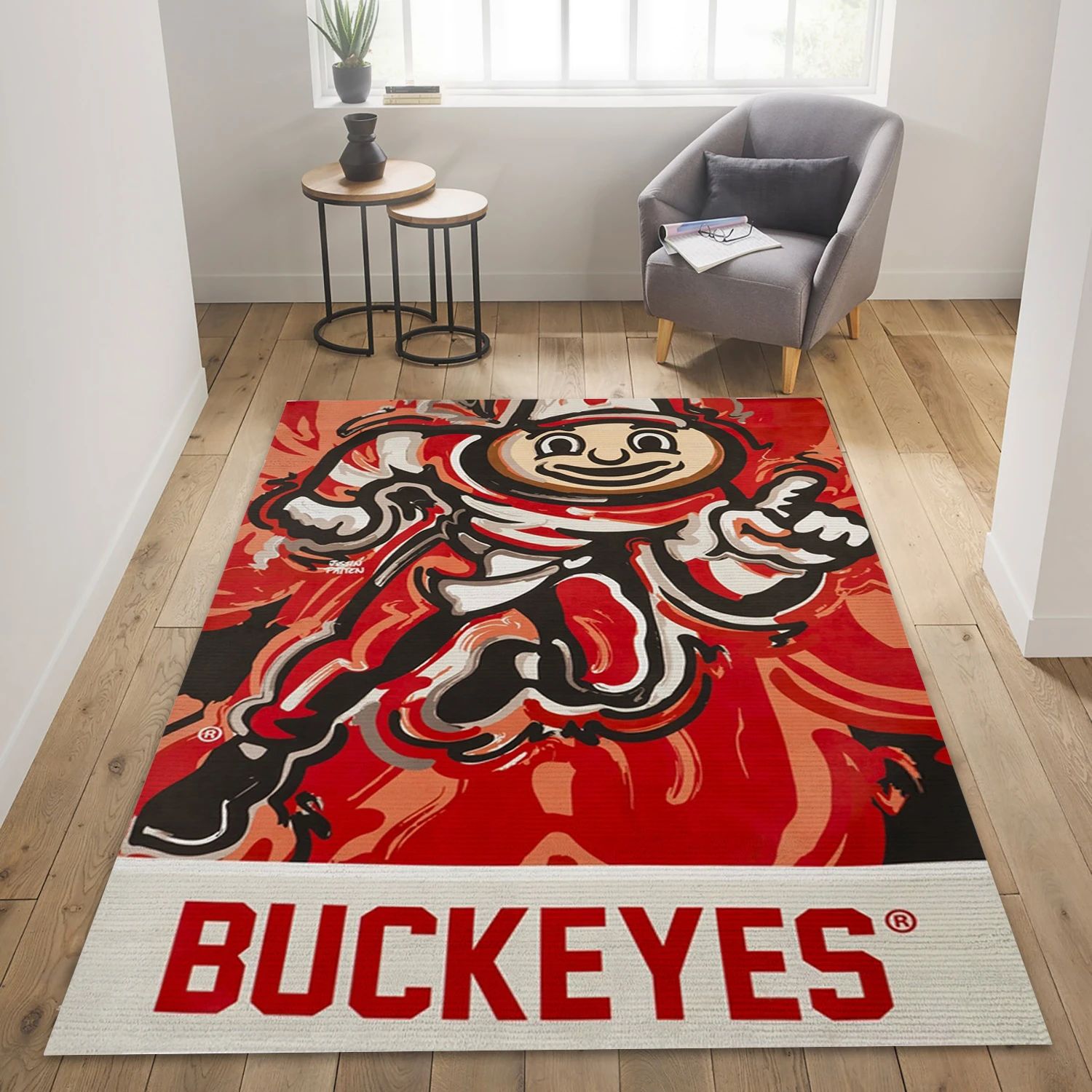 Ohio State Buckeyes  House Flag College Team Area Rug Carpet