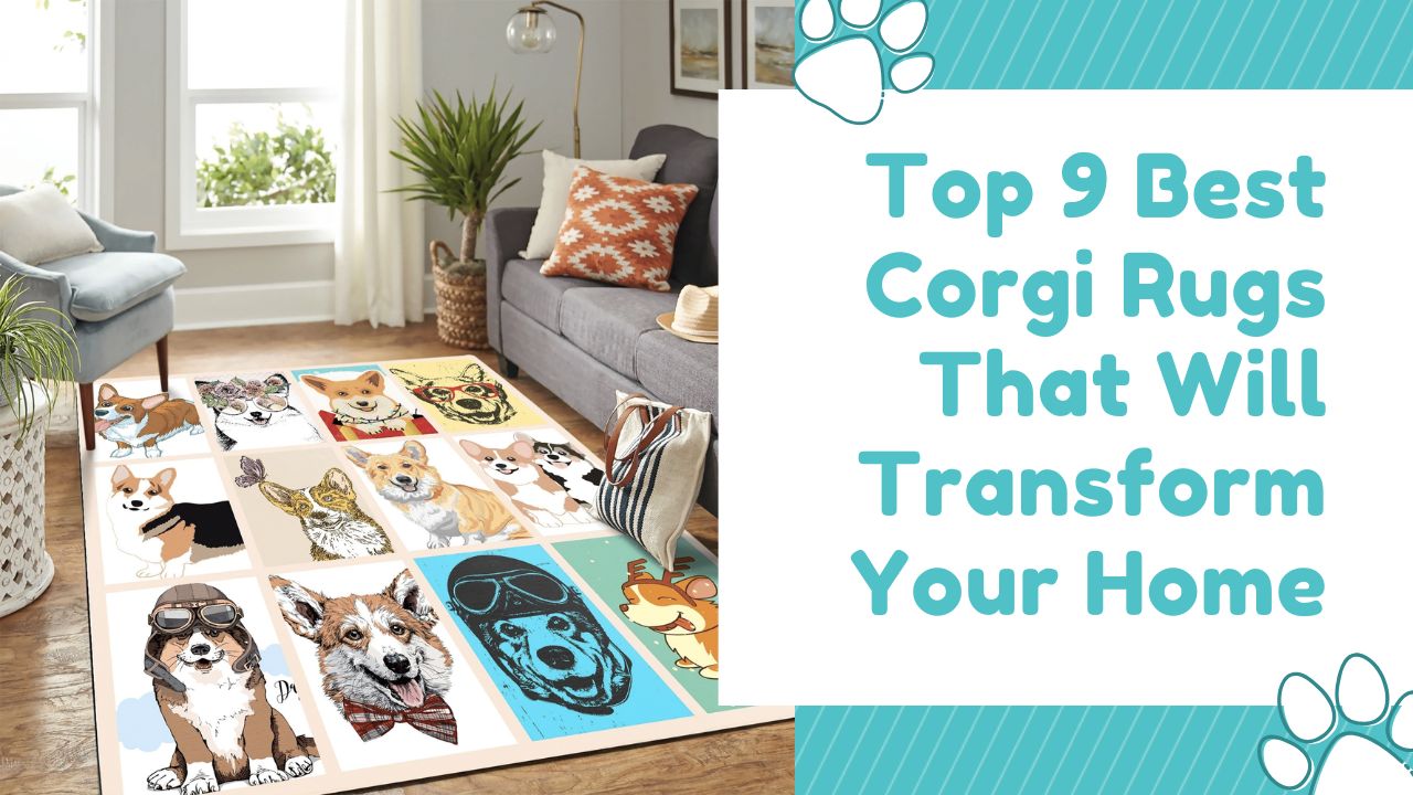 Top 9 Best Corgi Rugs That Will Transform Your Home