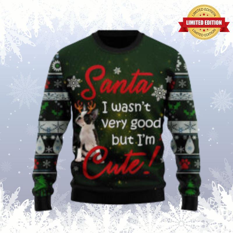 Boston Terrier I? Cute Dog Lover Ugly Sweaters For Men Women