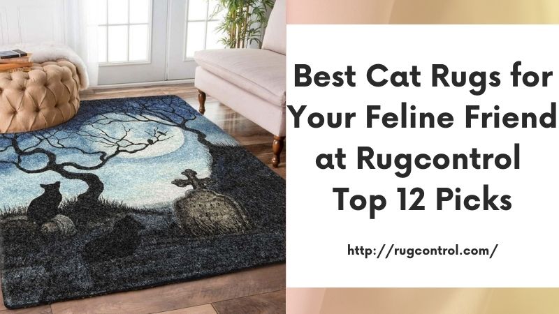 Best Cat Rugs for Your Feline Friend at Rugcontrol Top 12 Picks