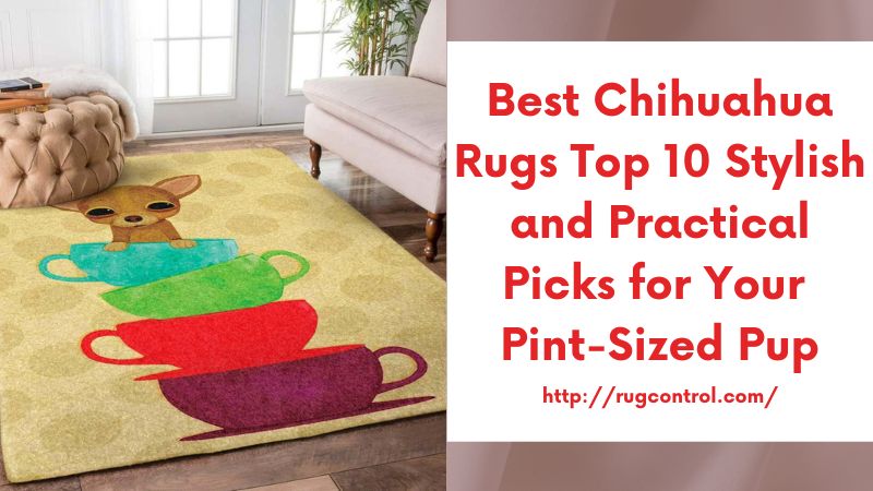 Best Chihuahua Rugs Top 10 Stylish and Practical Picks for Your Pint-Sized Pup