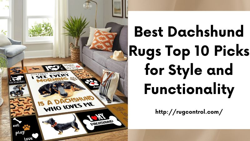 Best Dachshund Rugs Top 10 Picks for Style and Functionality